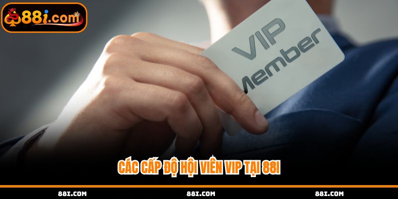 Các cấp độ của hội viên 88i