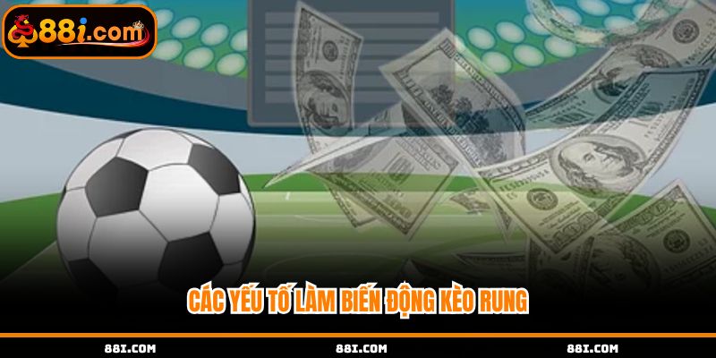 Các yếu tố làm biến động kèo rung