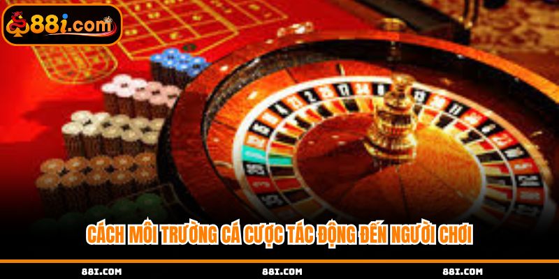 Cách môi trường cá cược tác động đến người chơi
