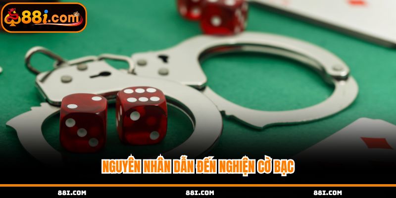 Nguyên nhân khiến nghiện cờ bạc mà bạn cần nắm rõ
