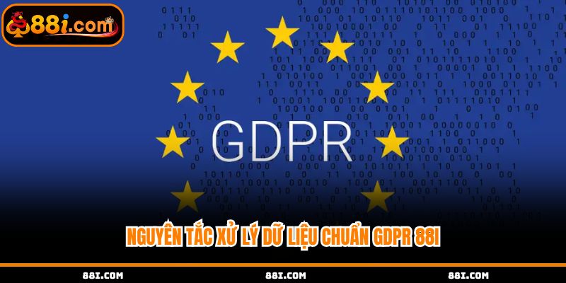 Nguyên tắc xử lý dữ liệu chuẩn GDPR 88i