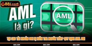 AML 88i