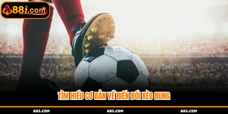 Tìm hiểu cơ bản về biến đổi kèo rung
